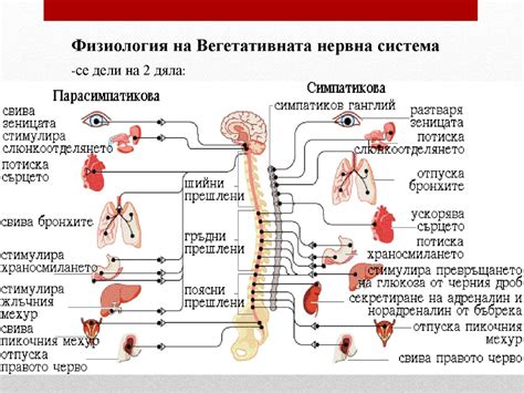 хипертония и заболявания на вътрешните органи